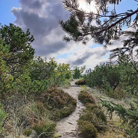 5 Person In Snedsted