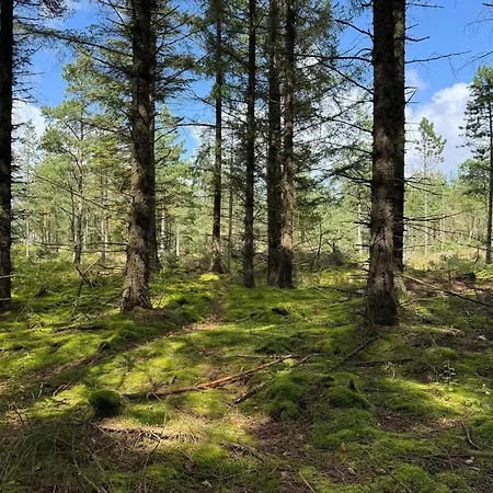 Σπίτι διακοπών 5 Person In *