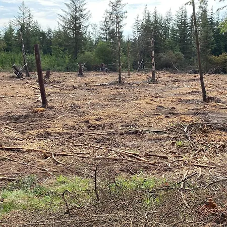 Casa de Férias 5 Person In Snedsted