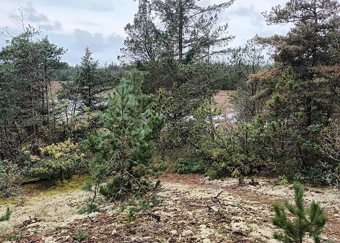 5 Person In Σπίτι διακοπών *