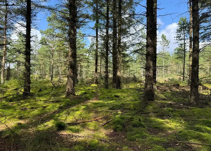 Σπίτι διακοπών 5 Person In *