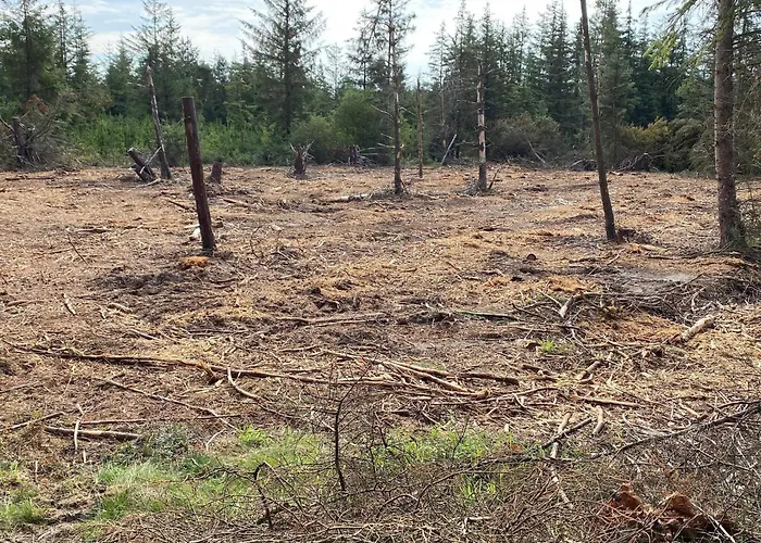 Σπίτι διακοπών 5 Person In Snedsted