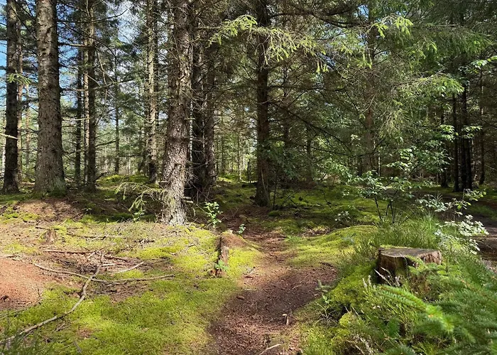 5 Person In Σπίτι διακοπών *