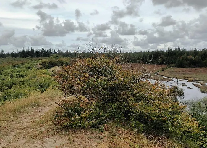 5 Person In Snedsted